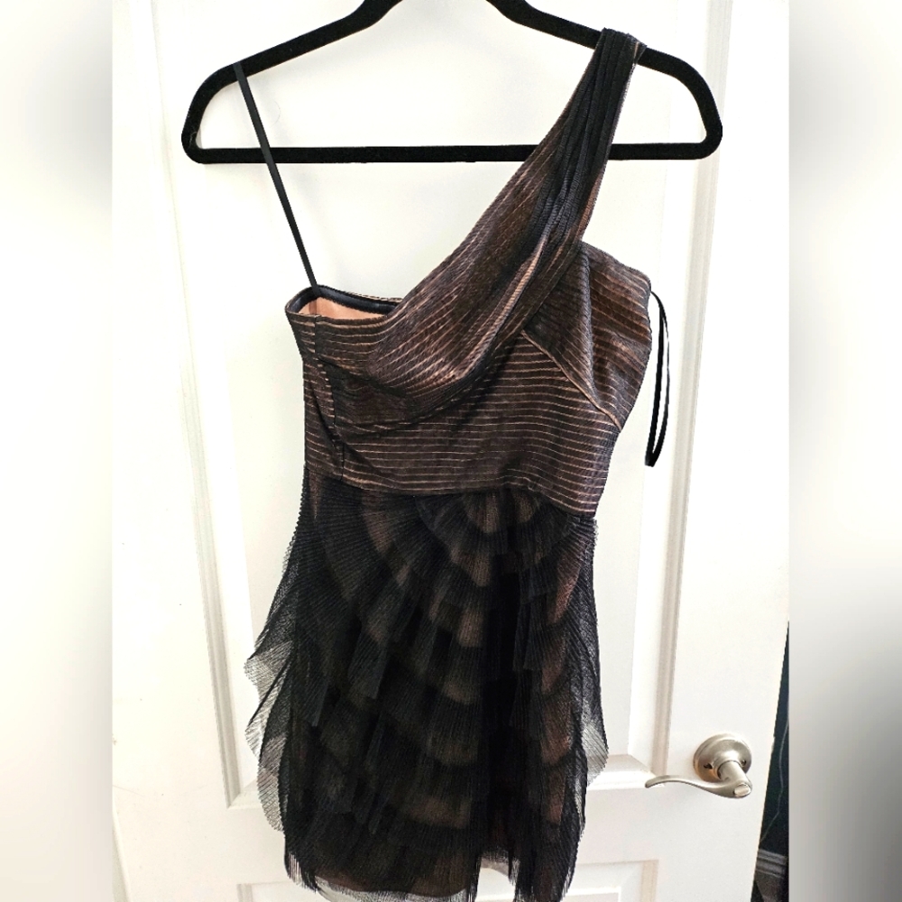 BCBG layered lace dress